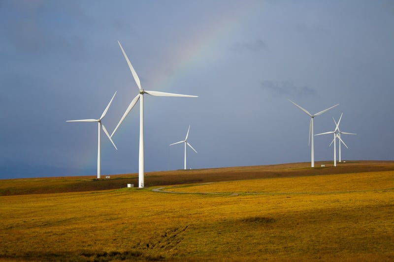 Sustainable Practices