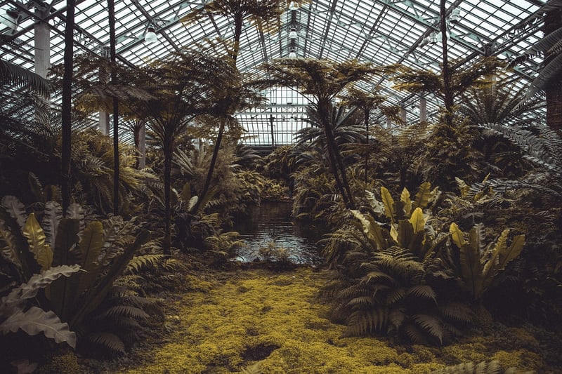 City Agriculture